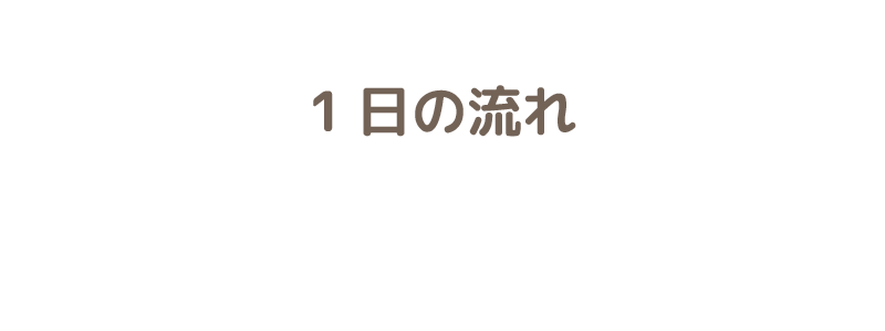 1日の流れ